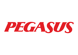 Pegasus